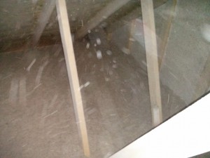 IMG_20150125_124103